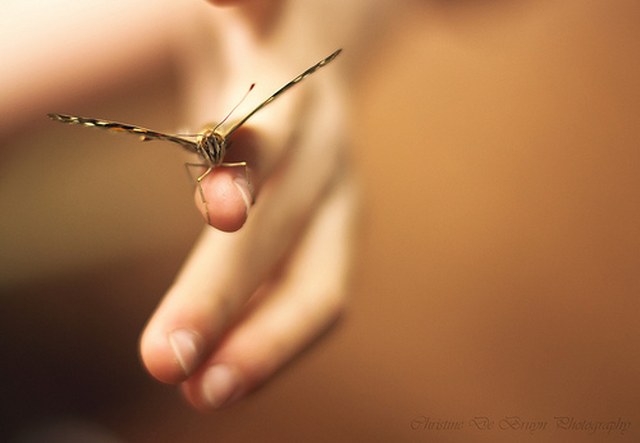 自动发货快的网页攻击软件